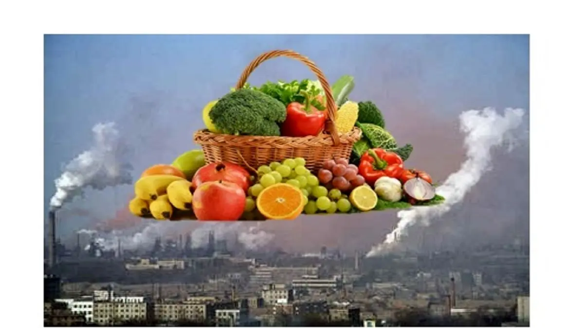 راه نجات از همدستی مرگبار آلودگی هوا و اپیدمی کرونا