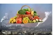 راه نجات از همدستی مرگبار آلودگی هوا و اپیدمی کرونا
