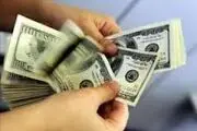 دلارهای خانگی در راه بازار