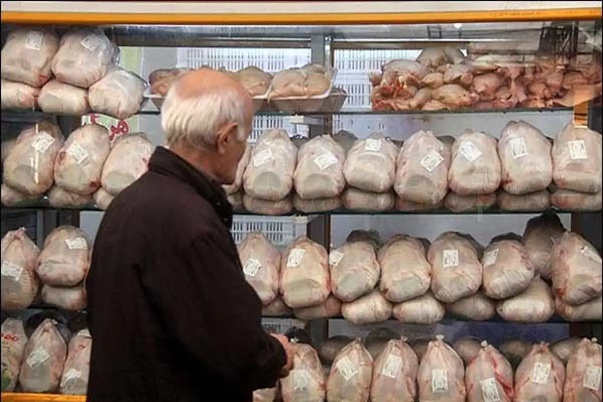 مرغ گران می شود