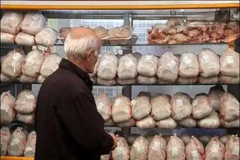 قیمت فروش مرغ تازه در بازار چقدر است؟