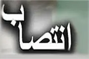 علی‌اکبر صفی‌پور معاون کتابخانه ملی ایران شد