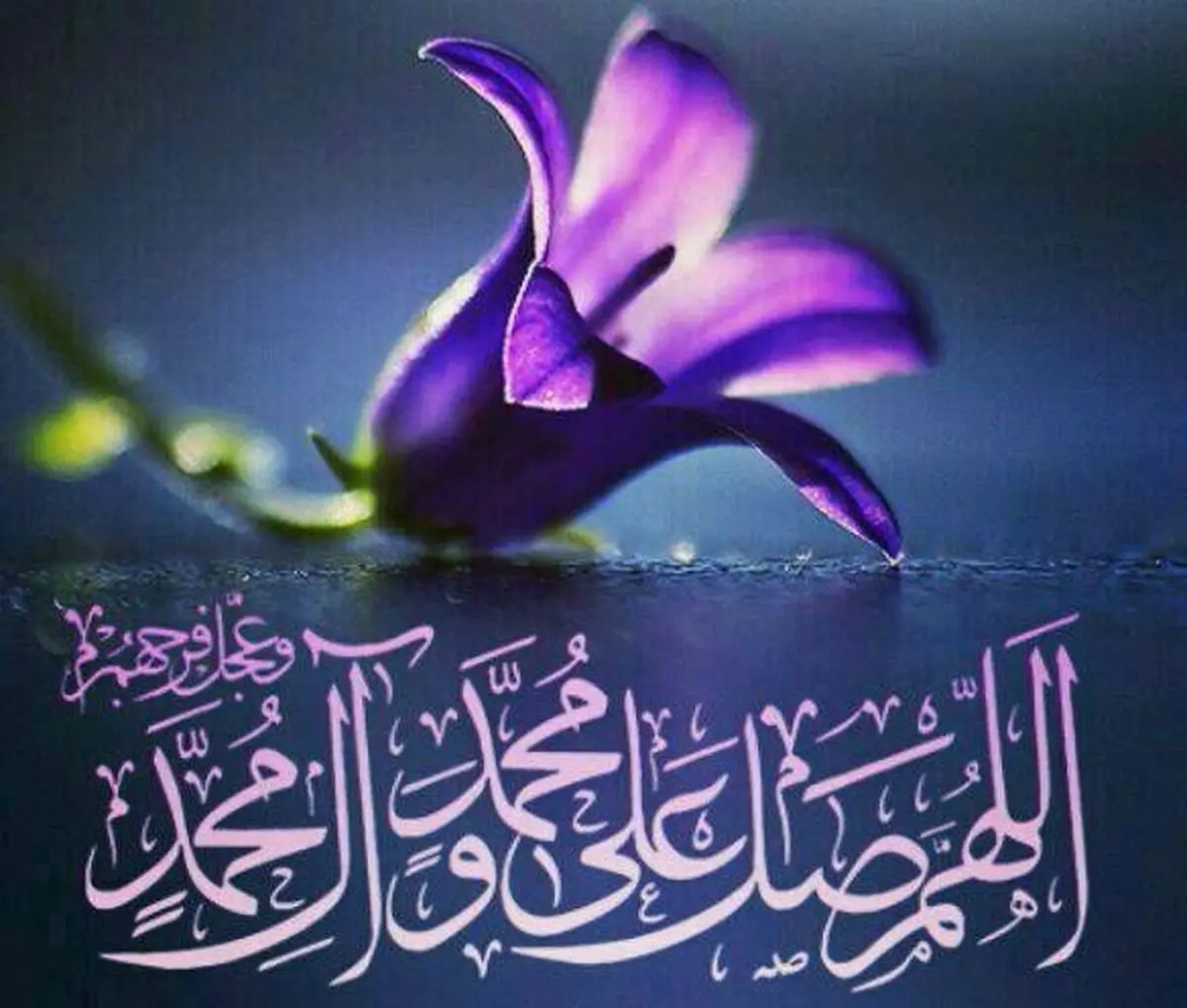 اگر میدانستید ذکر صلوات چه پاداشی دارد؟!