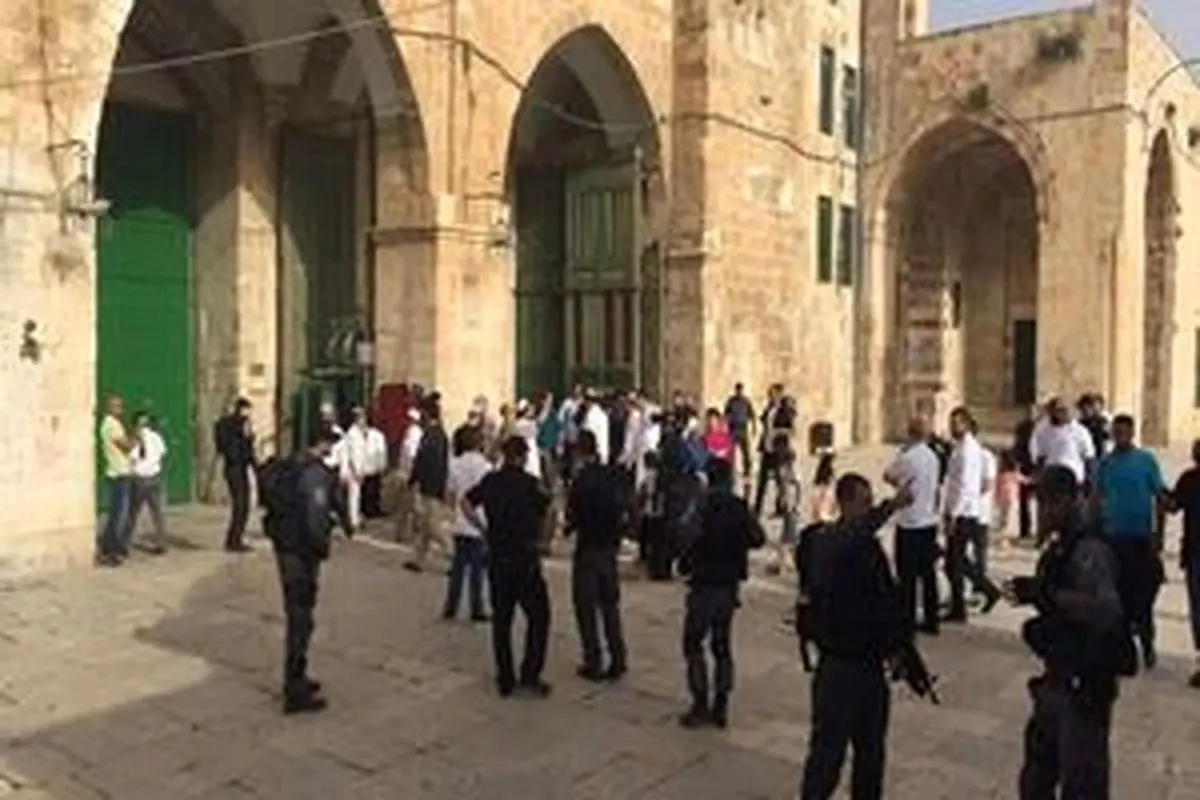 هتاکی ۹۰ صهیونیست به مسجد مقدس مسلمین