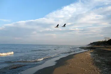 n00151364-r-b-007