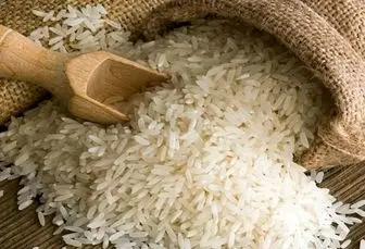 قیمت برنج و شکر معکوس شد | قیمت یک کیلو برنج هاشمی چند؟
