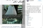 واکنش پسر قالیباف به شایعه عروسی میلیاردی خواهرش