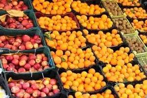 در ایام نوروز سیب و پرتقال زیر قیمت عرضه می‌شود