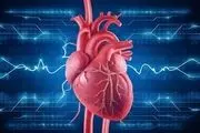 آریتمی قلبی چیست؟/ خطر بی‌نظمی ضربان قلب
