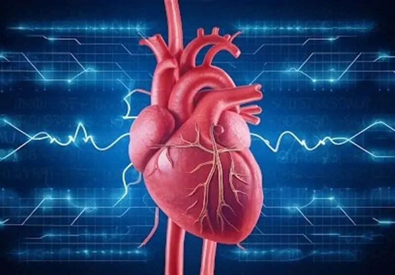 آریتمی قلبی چیست؟/ خطر بی‌نظمی ضربان قلب
