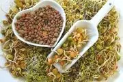خواص شگفت انگیز جوانه ها 