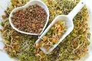 خواص شگفت انگیز جوانه ها 