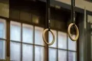
سرپرست فدراسیون ژیمناستیک مشخص شد

