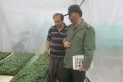 اشتغالزایی برای 8 نفر با ایجاد یک واحد گلخانه ای در مشگین