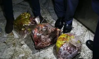 عرضه گوشت فاسد در قصابی واقع در خیابان وحدت اسلامی
