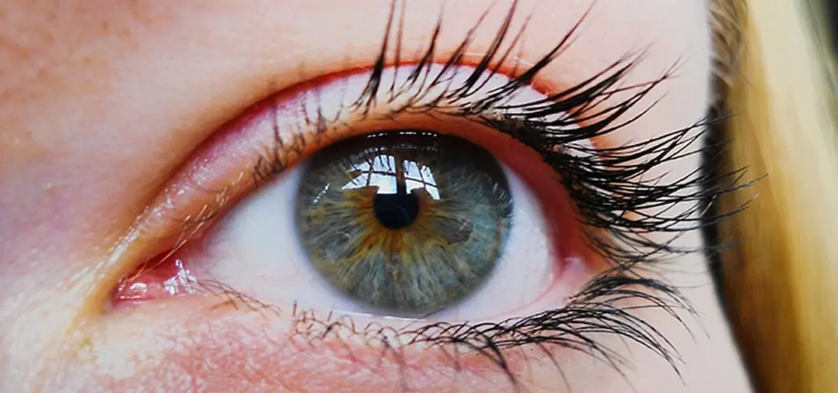 استفاده از عسل برای تغییر رنگ چشم