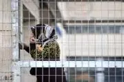 شرایط دشوار اسرای زن فلسطینی در زندان‌های رژیم صهیونیستی