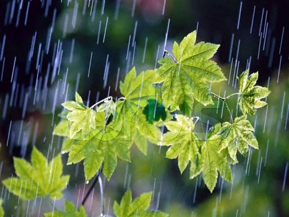 سیزدهم فروردین هوای قصرشیرین بارانی می شود