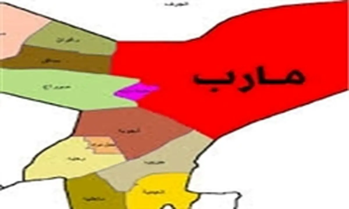 تلفات سنگین مزدوران سعودی در مأرب