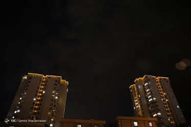 12305218_513