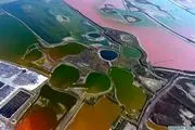 دریاچه نمکی که رنگارنگ است+ عکس