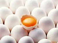 تخم‌مرغ‌های مازاد در انتظار تامین اعتبار ذخیره‌سازی