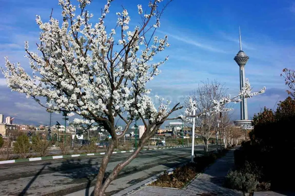 افزایش ۸ درجهای دمای تهران طی فردا