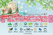 تدارک شبکه‌های رادیویی برای دهه فجر