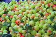 از فواید جادویی سیب گلاب 