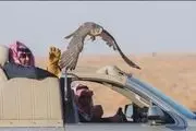روزگار ولیعهد ناکام!/ عکس