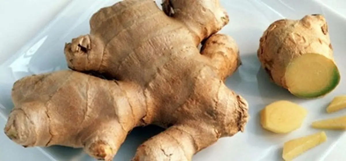 برای درمان سوزش معده زنجبیل بخورید