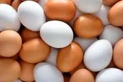 قیمت تخم مرغ در بازار امروز ۳۰ تیر ۱۴۰۳+ جدول 

