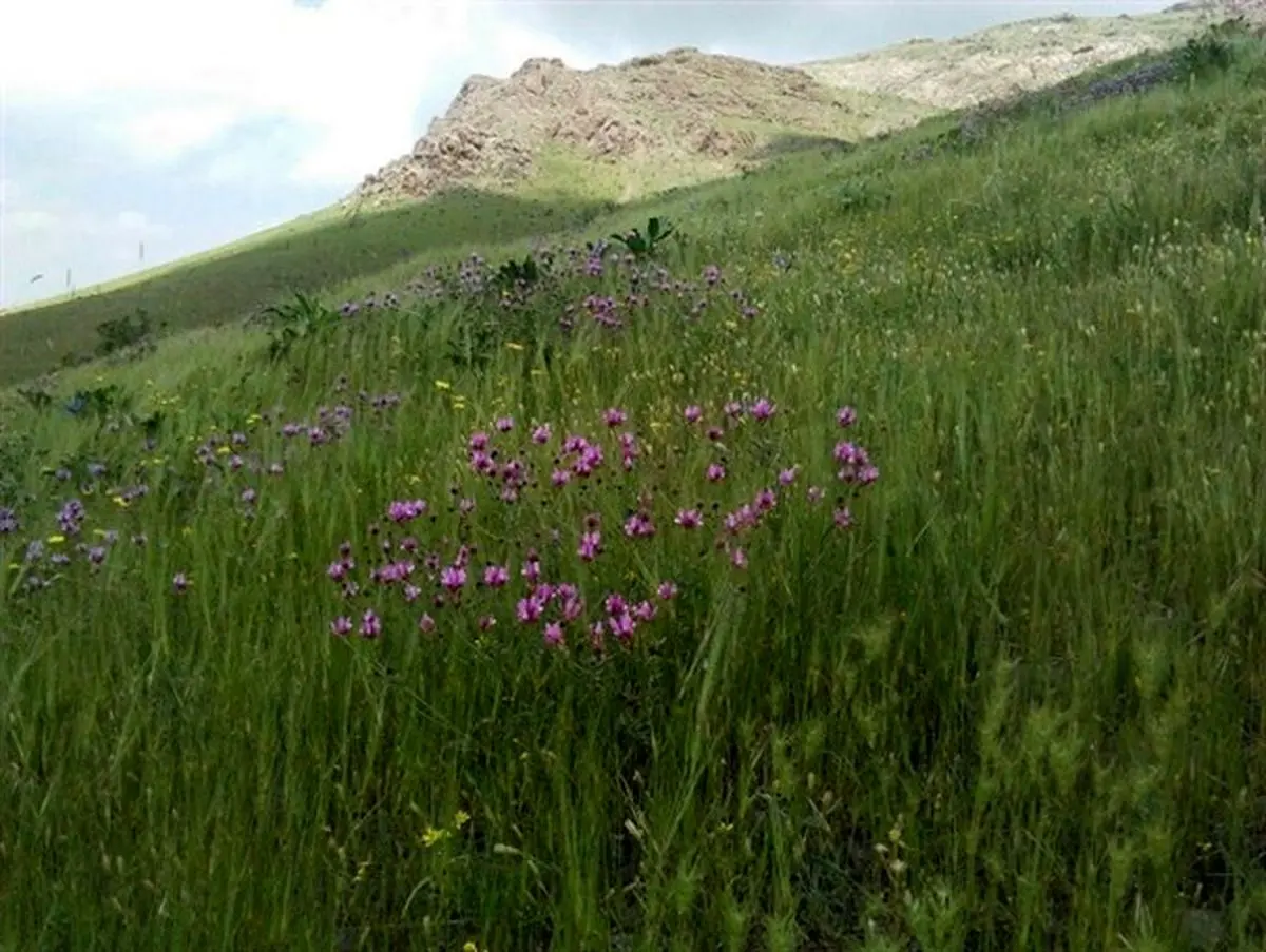 طبیعت زیبای منطقه حفاظت شده خانگرمز