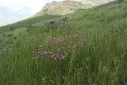 طبیعت زیبای منطقه حفاظت شده خانگرمز