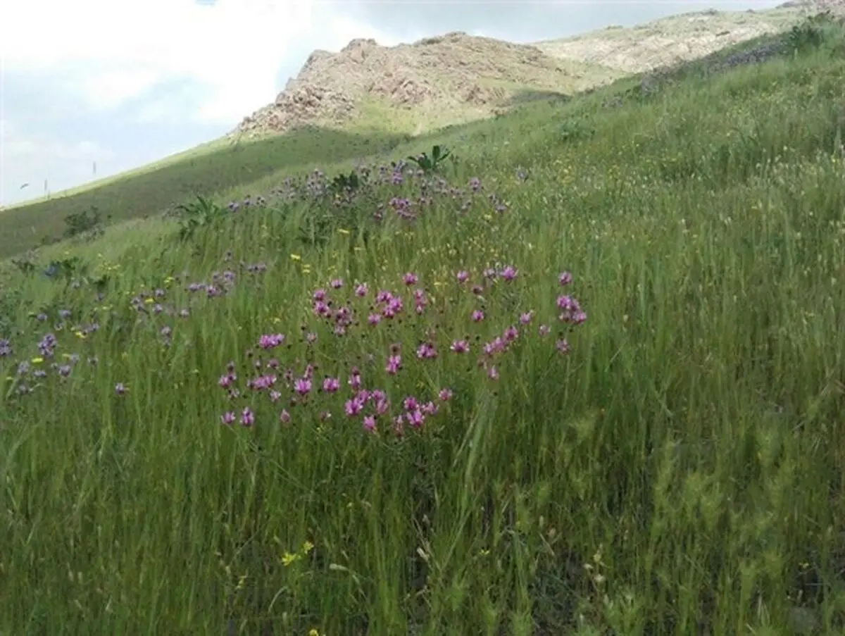 طبیعت زیبای منطقه حفاظت شده خانگرمز