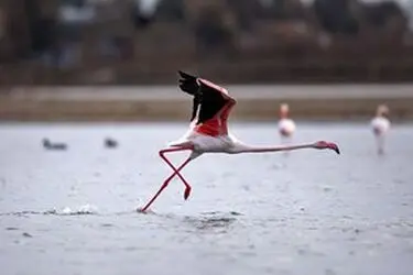 13951214001167636242323771318986_78550_PhotoU