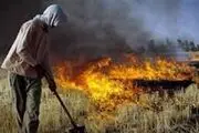 «پارک ملی کرخه» همچنان در آتش می‌سوزد/ عکس