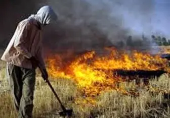 «پارک ملی کرخه» همچنان در آتش می‌سوزد/ عکس