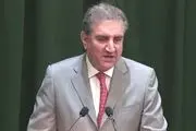 شاه محمود قریشی، وارد تهران شد