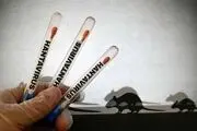 هانتاویروس به تل‌آویو رسید