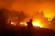 ناتوانی اردوغان در کنترل بحران آتش سوزی جنگل‌ها