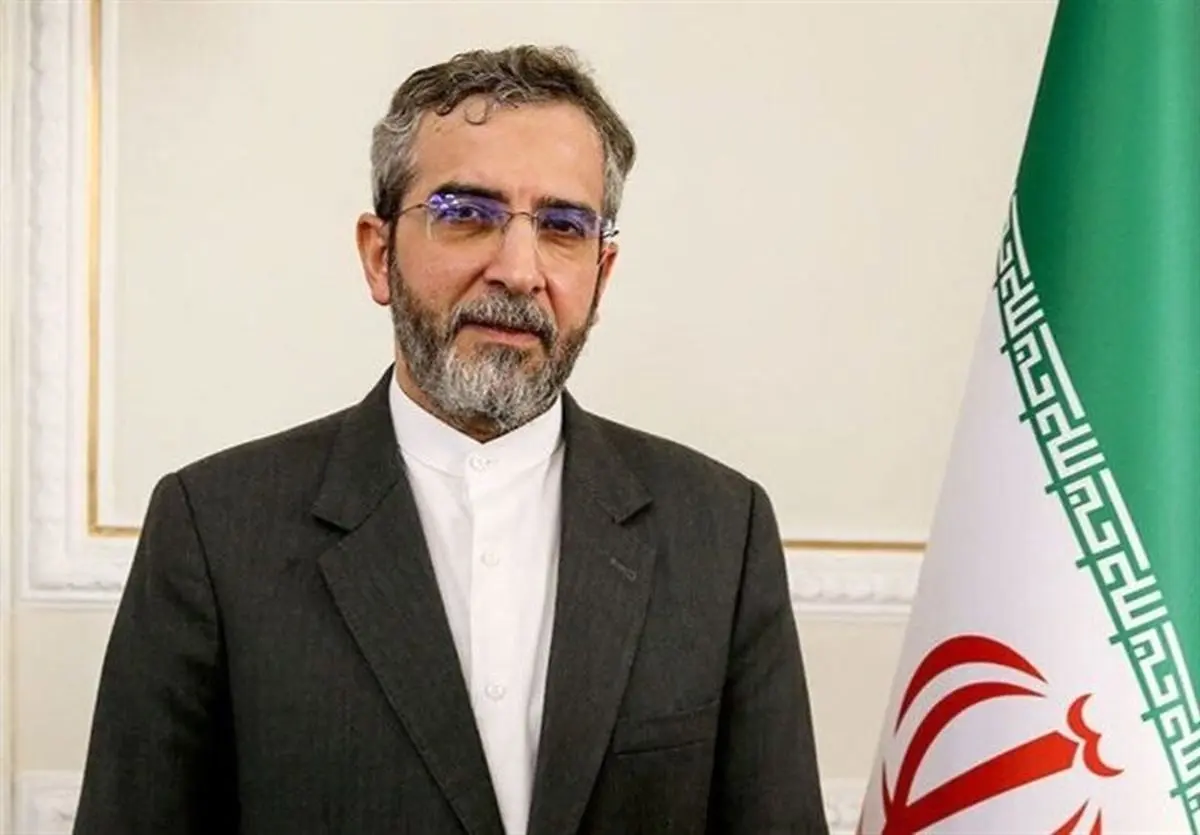 شرکت باقری درنشست فوقالعاده گروه دی ۸ در ترکیه