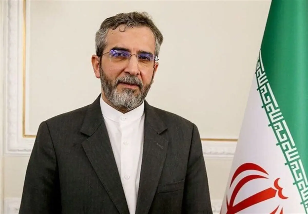 
شرکت باقری درنشست فوق‌العاده گروه دی ۸ در ترکیه
