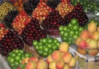 کاهش شدید میوه‌های قاچاق در بازار