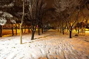 ببینید | بارش اولین برف زمستان ۱۴۰۲ در تهران