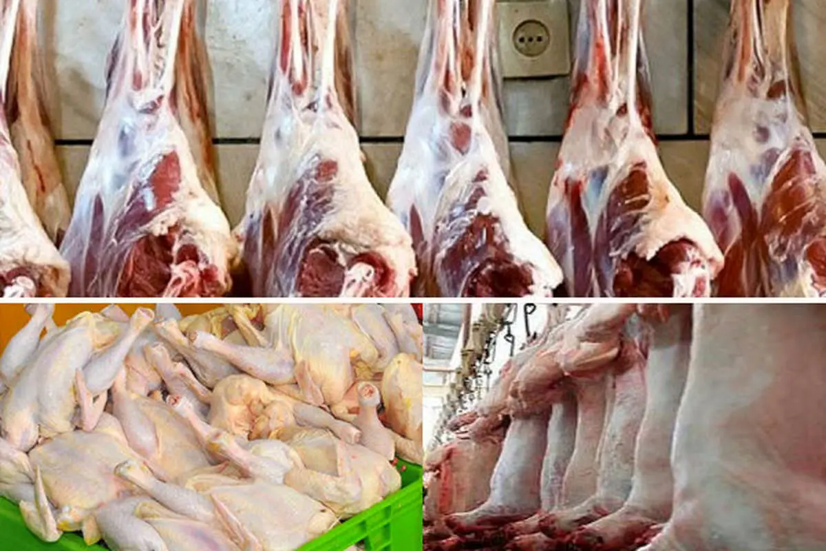 ۳۸ هزار تن گوشت قرمز وسفید درخراسان شمالی تولید شد