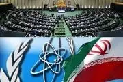 بیانیه مهم نمایندگان برای مقابله با جانبداری‌های آژانس بین المللی انرژی اتمی