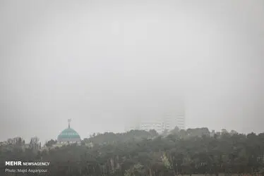 3421615_MJD_0064