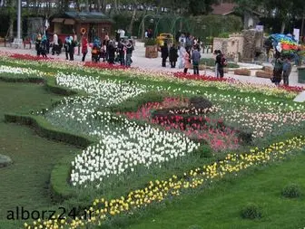 بزرگترین فرش گل خاورمیانه در پارک چمران کرج/تصاویر