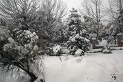 یک روز برفی در تهران و کرج/ گزارش تصویری